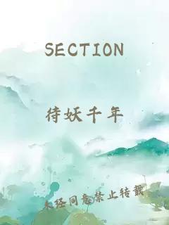 SECTION