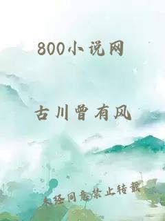 800小说网