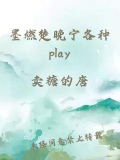墨燃楚晚宁各种play