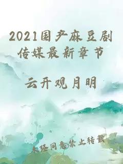 2021国产麻豆剧传媒最新章节